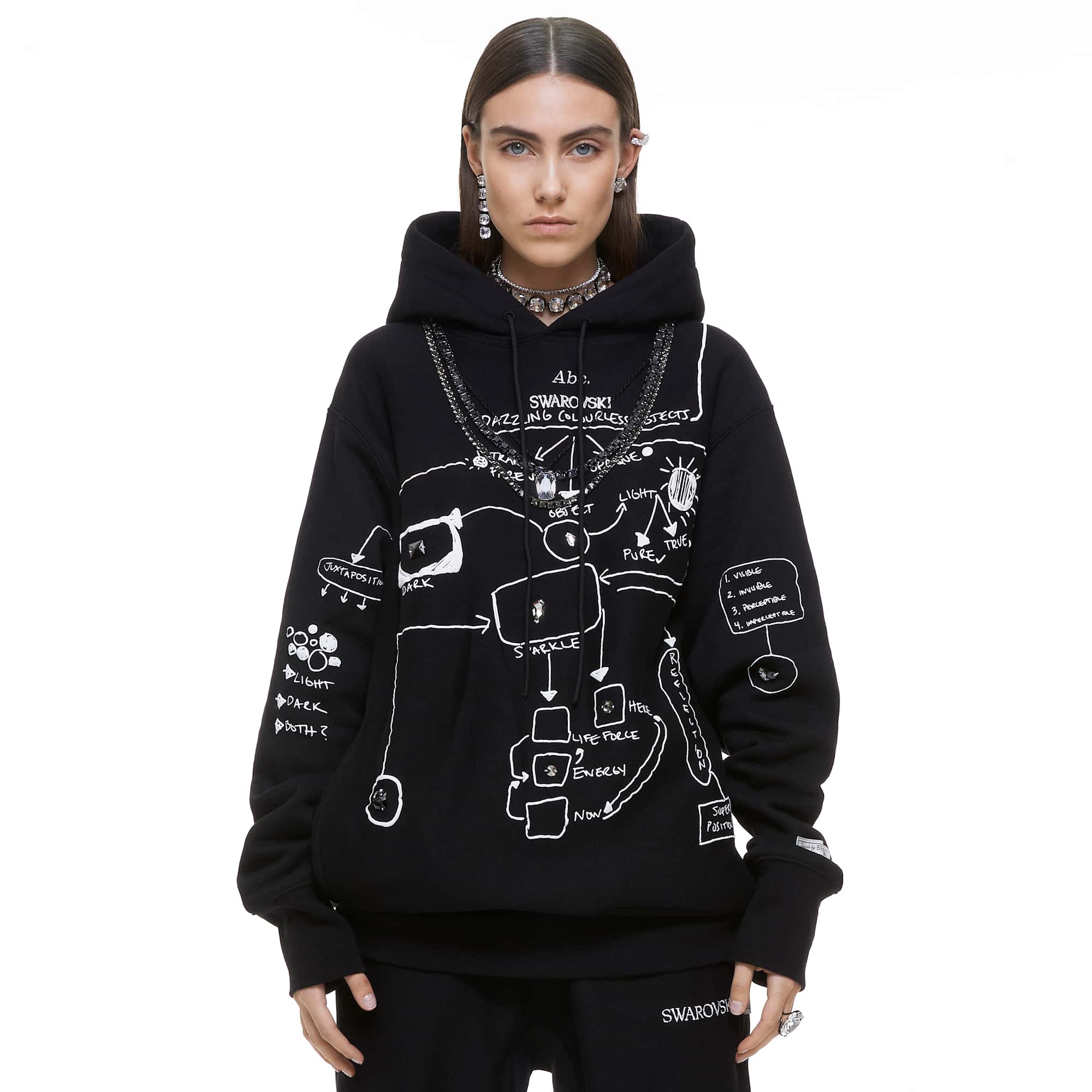 advisory-board-crystals-dazzling-colorless-objects-hoodie-black-swarovski-5644716