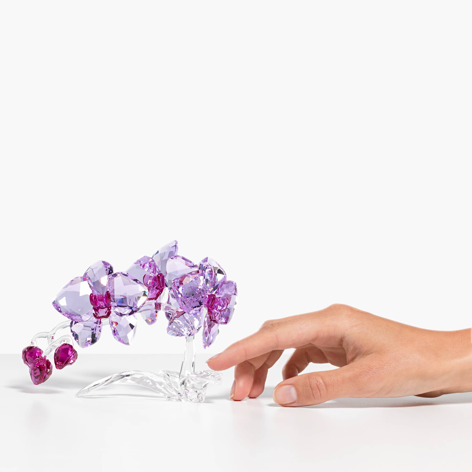 crystal-flowers-orchid-swarovski-5520373