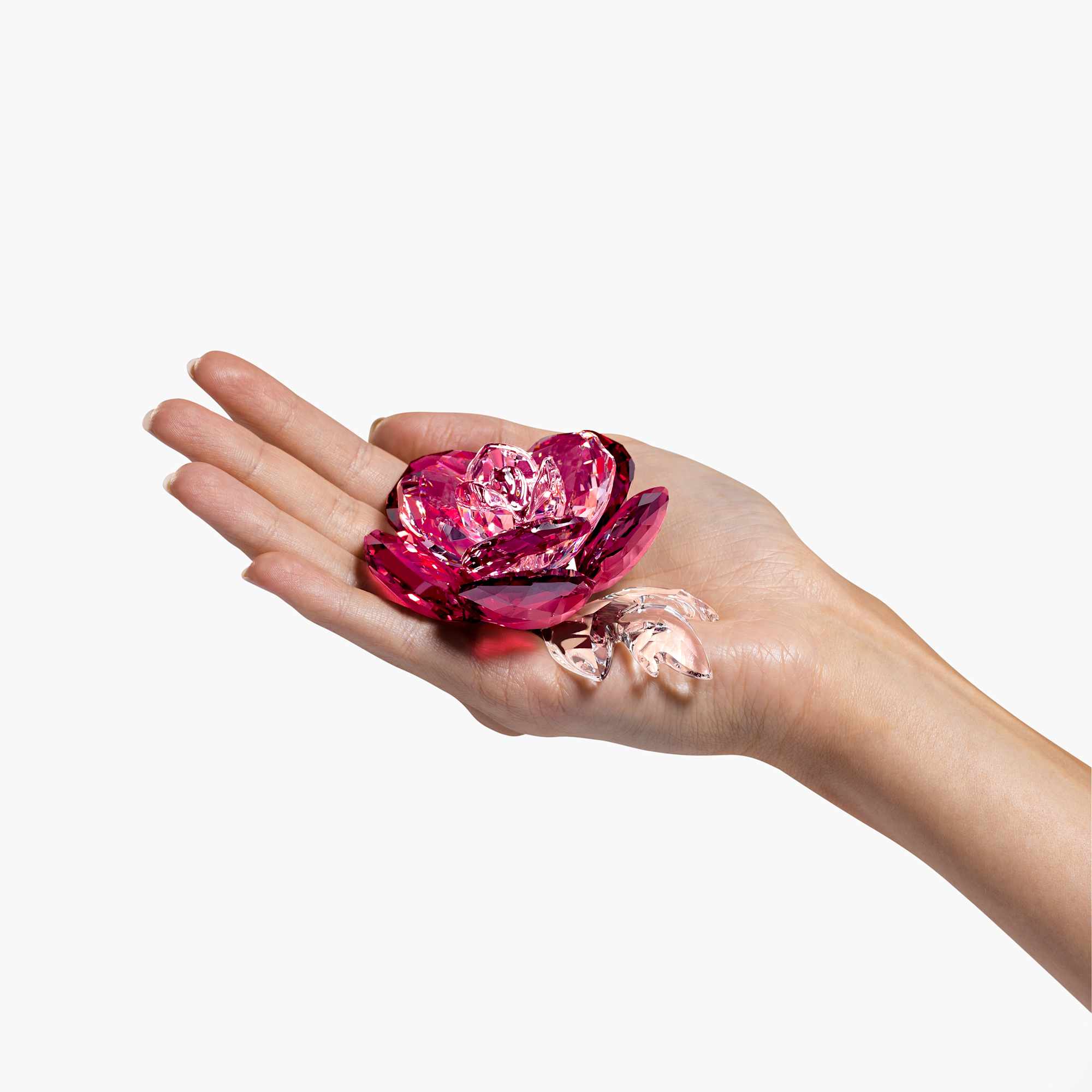 crystal-flowers-peony-swarovski-5688516