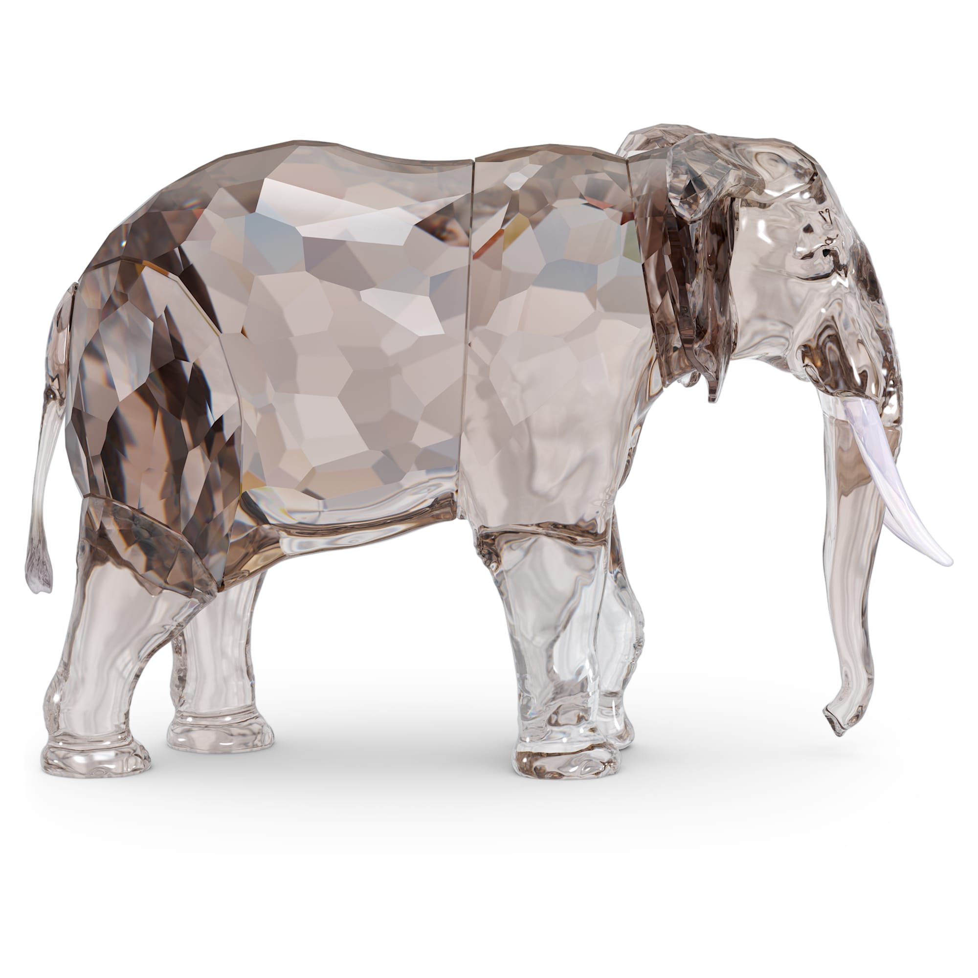 elegance-of-africa-scs-annual-edition-2022-elephant-fayola-swarovski-5604555