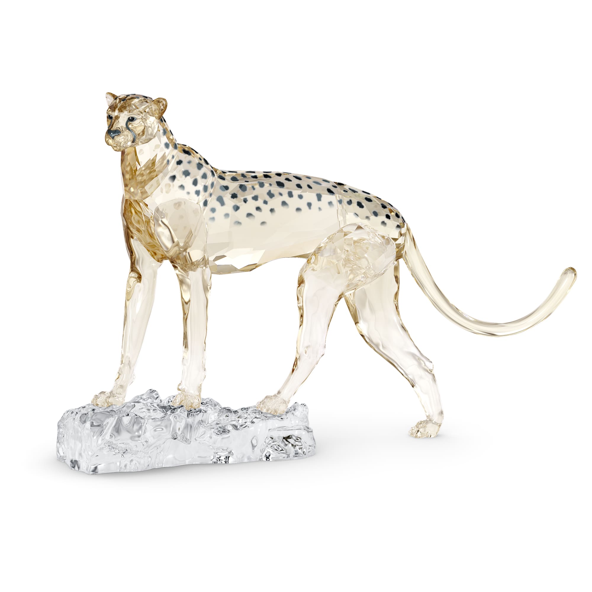 elegance-of-africa-scs-annual-edition-2023-cheetah-mehira-swarovski-5636241