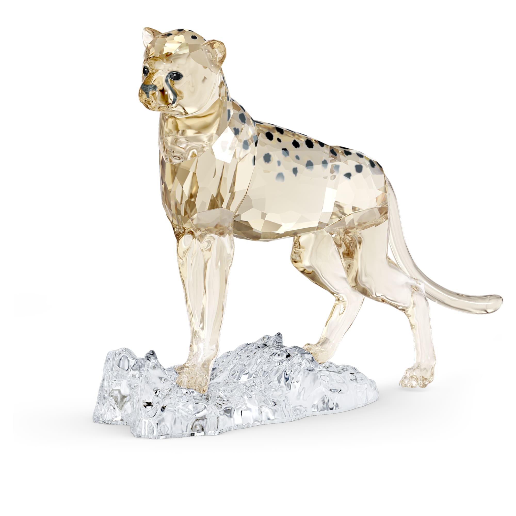elegance-of-africa-scs-cheetah-baby-jabari-swarovski-5636484