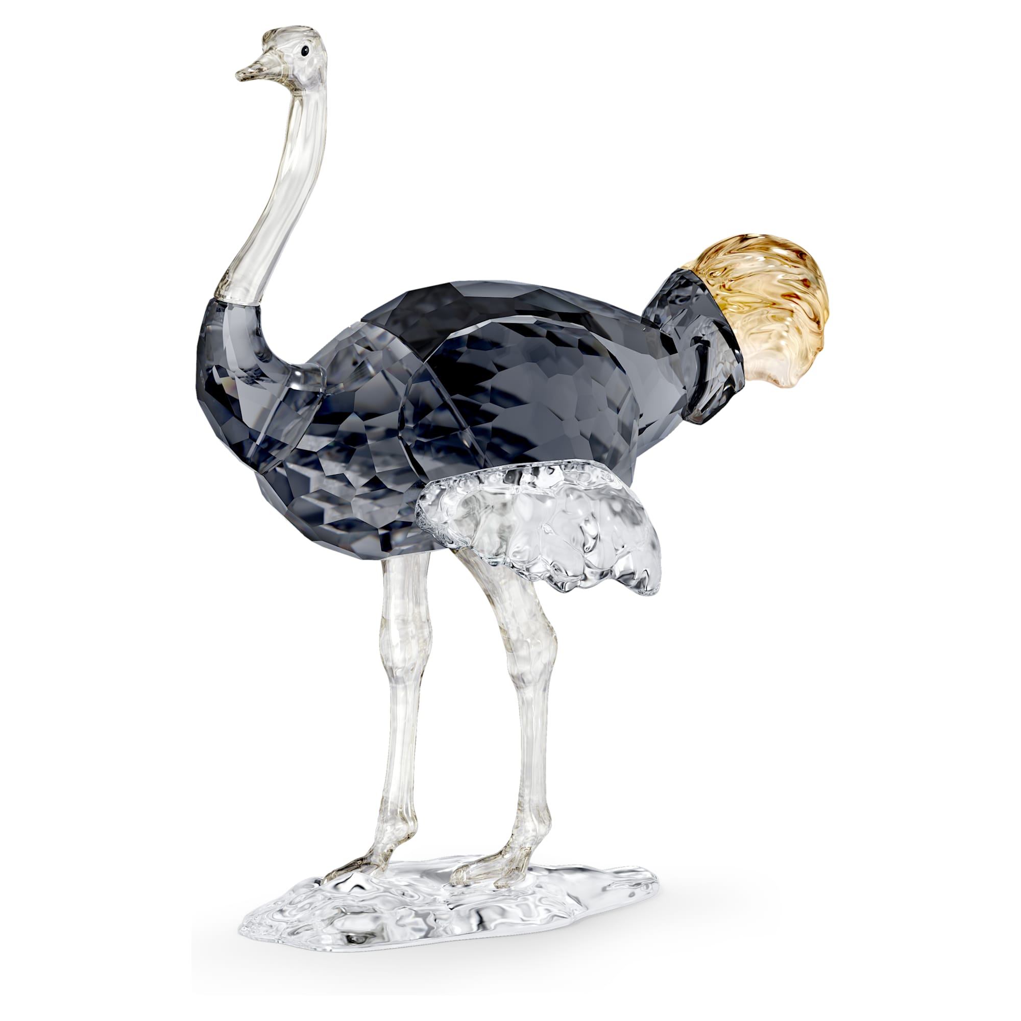 elegance-of-africa-scs-ostrich-makena-swarovski-5636302
