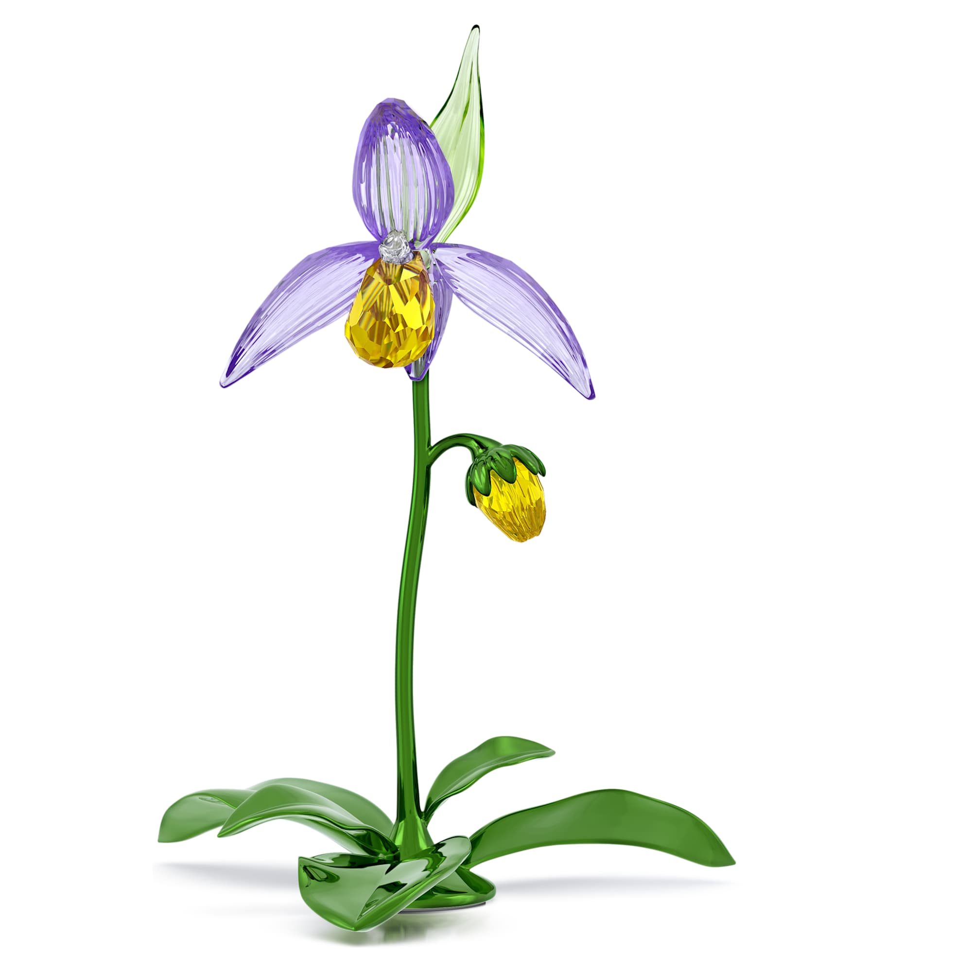 florere-lady-slipper-orchid-swarovski-5721548