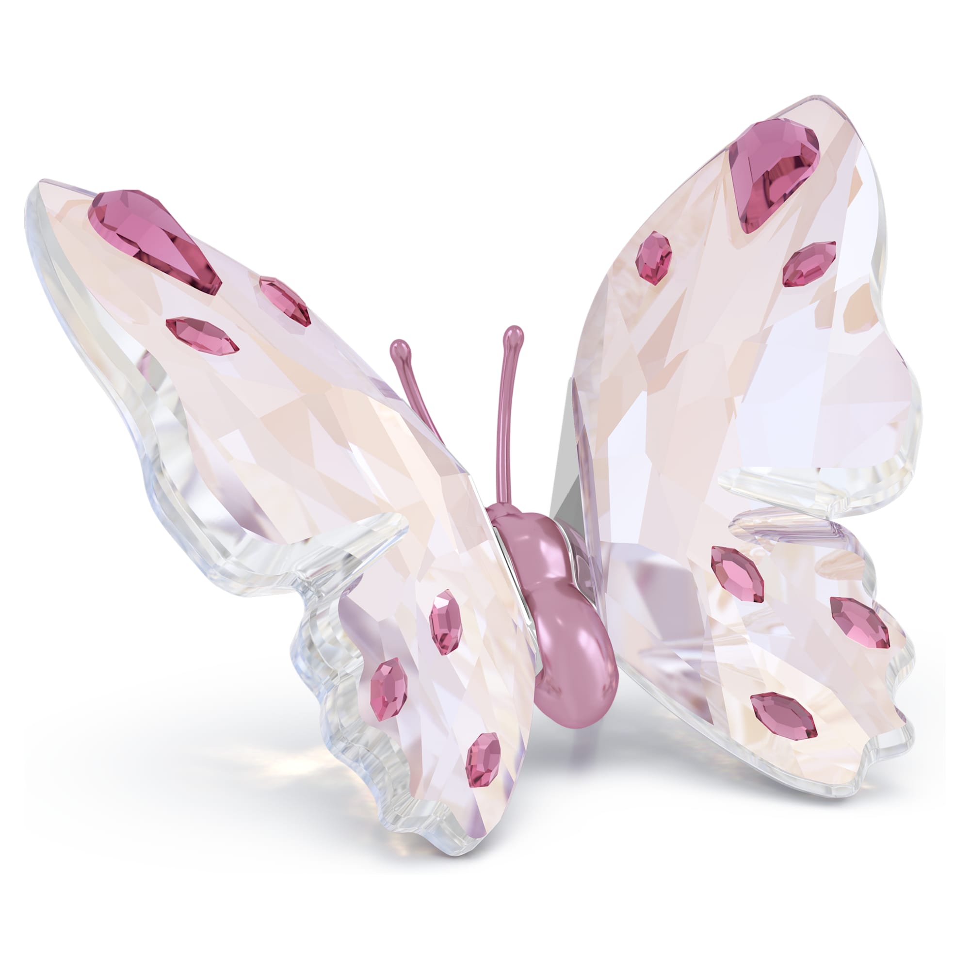 idyllia-butterfly-small-swarovski-5691959