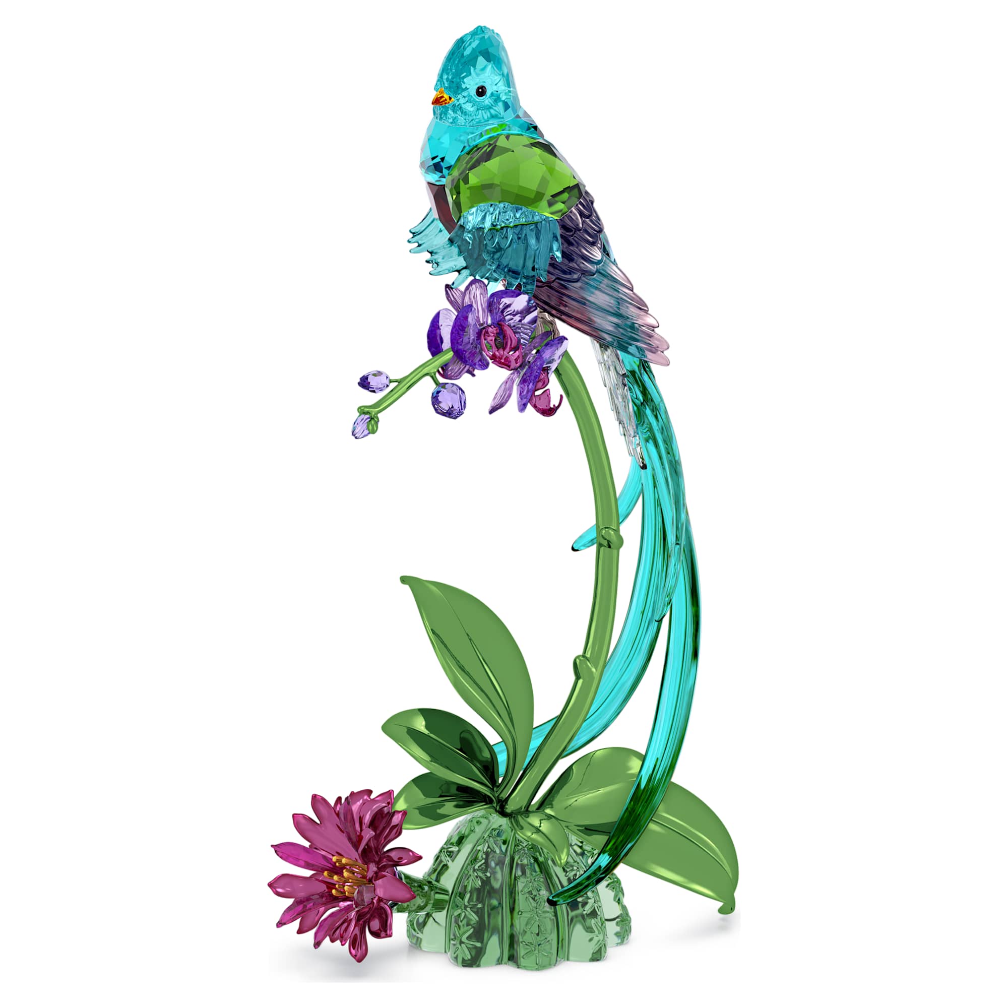 idyllia-quetzal-and-orchid-swarovski-5682123