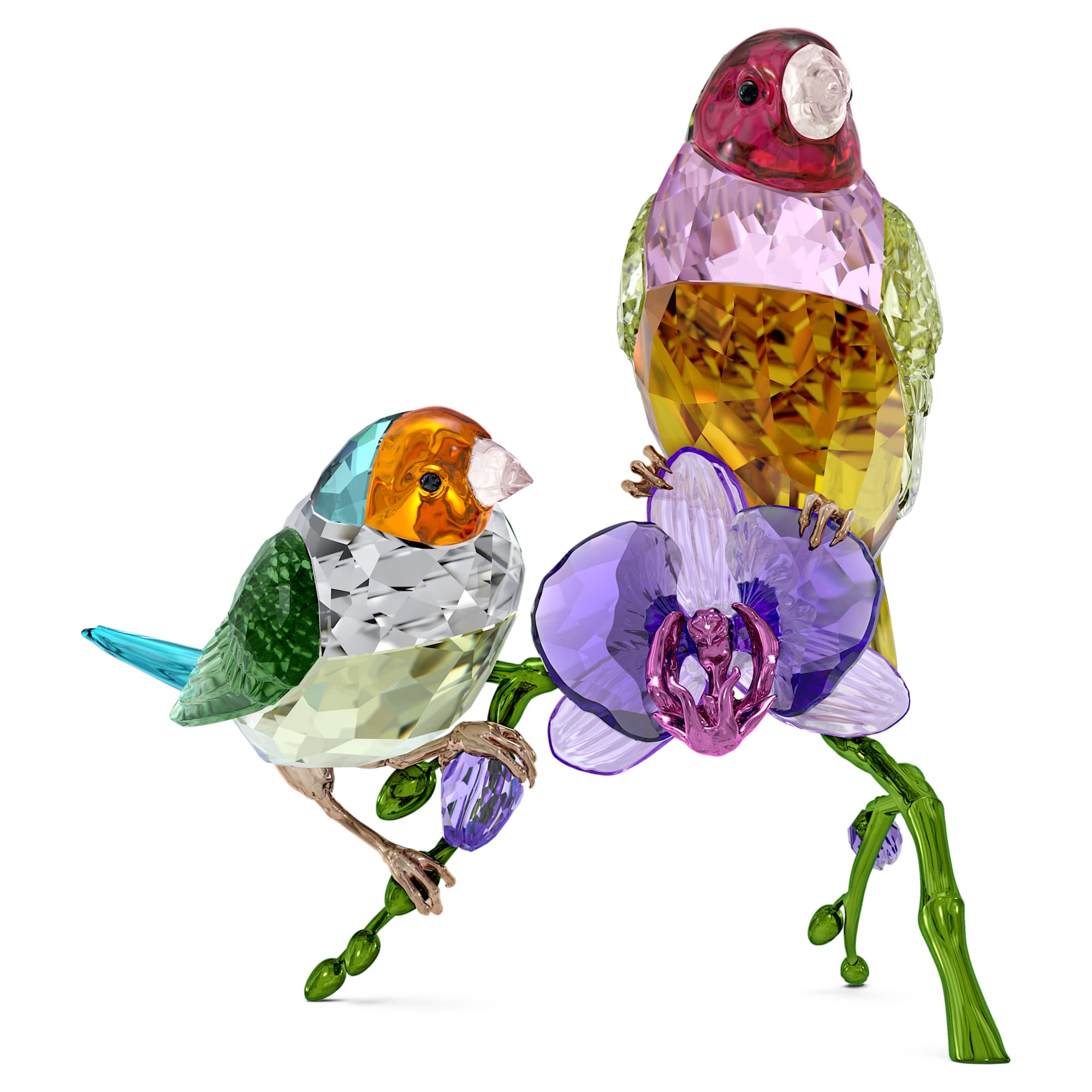 idyllia-scs-annual-edition-2024-gouldian-finches-swarovski-5670031
