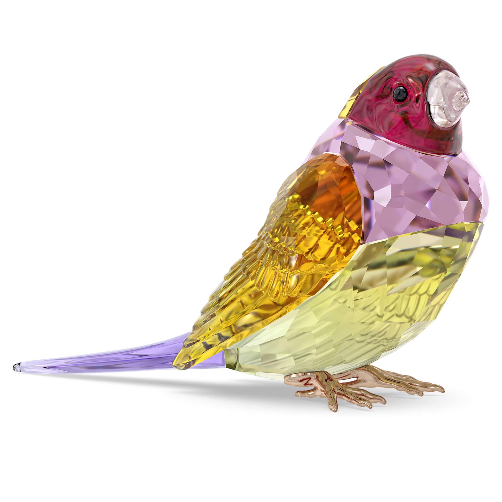 idyllia-scs-gouldian-finch-large-swarovski-5689265
