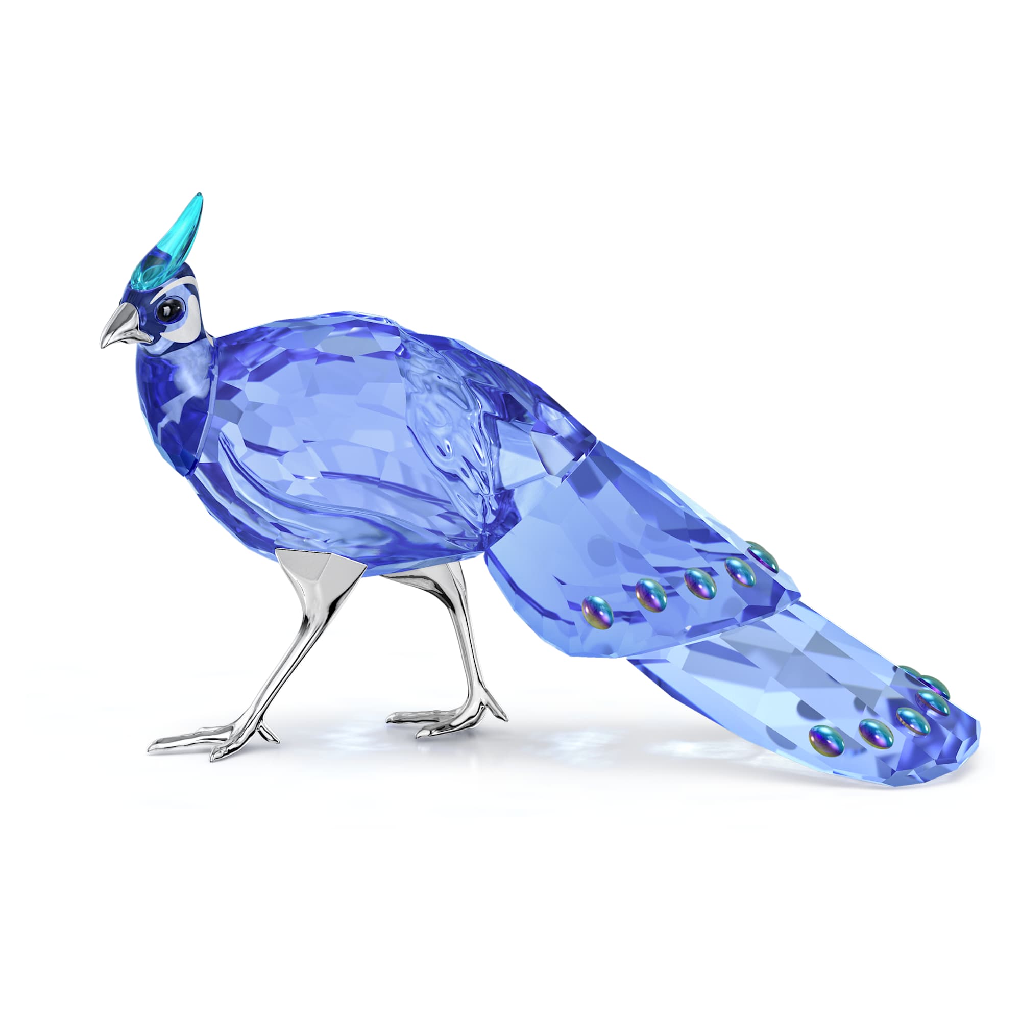 idyllia-scs-palawan-peacock-pheasant-swarovski-5717851
