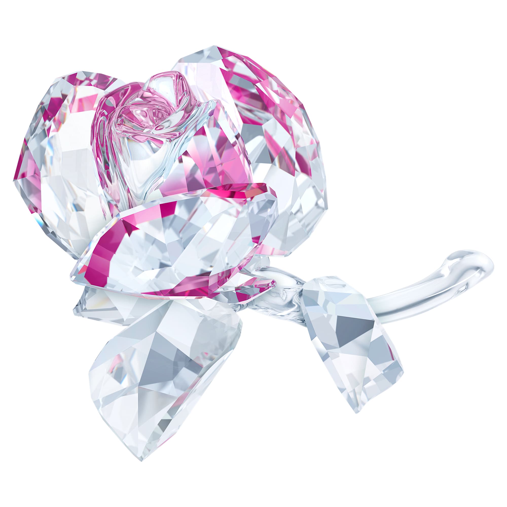 in-the-secret-garden-blossoming-rose-swarovski-5688517