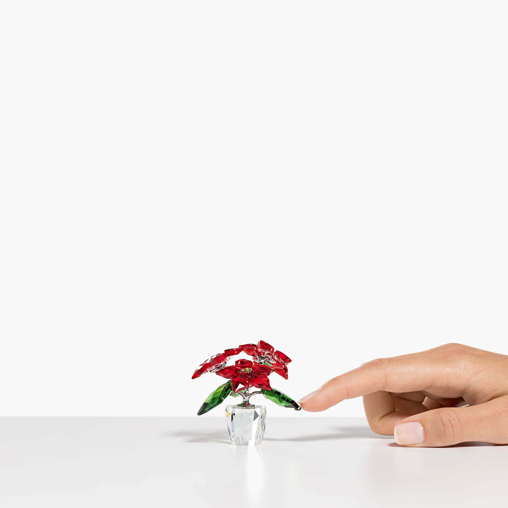 joyful-poinsettia-swarovski-5698502