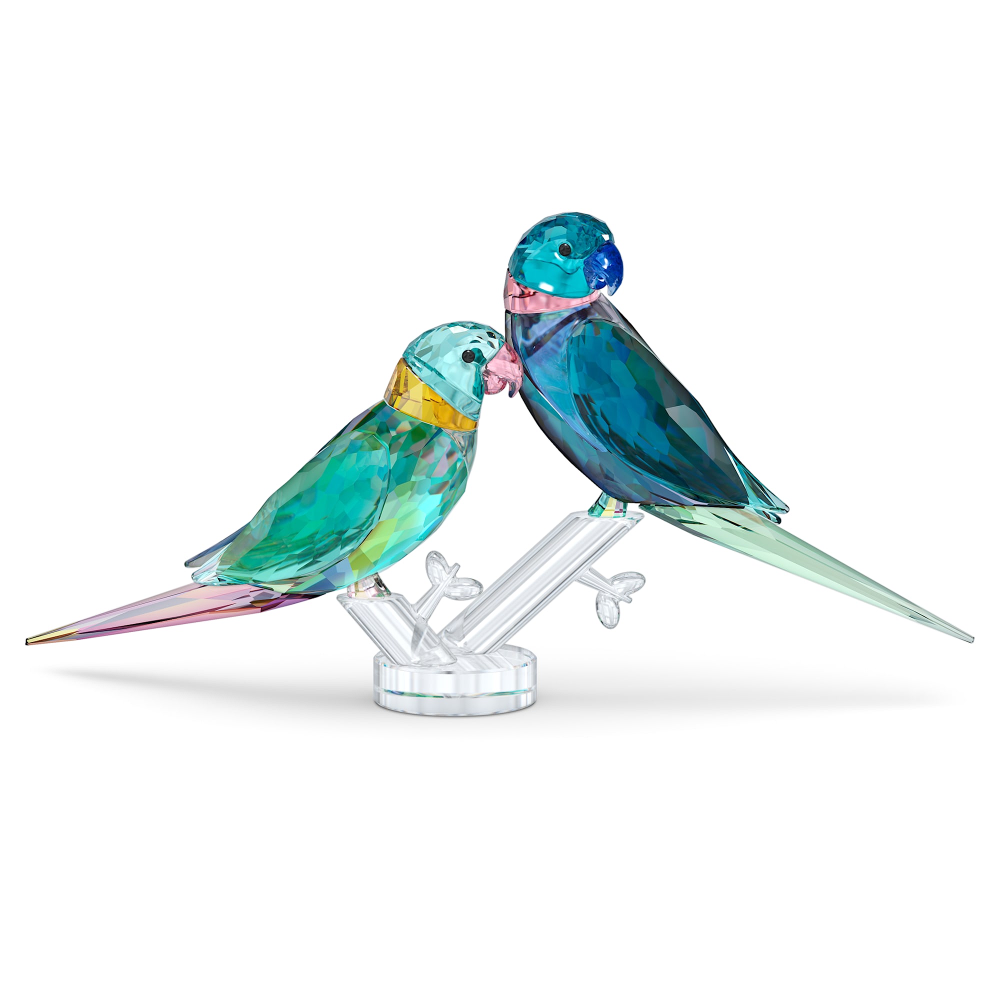 jungle-beats-parakeet-couple-fife-26-fifer-swarovski-5577124