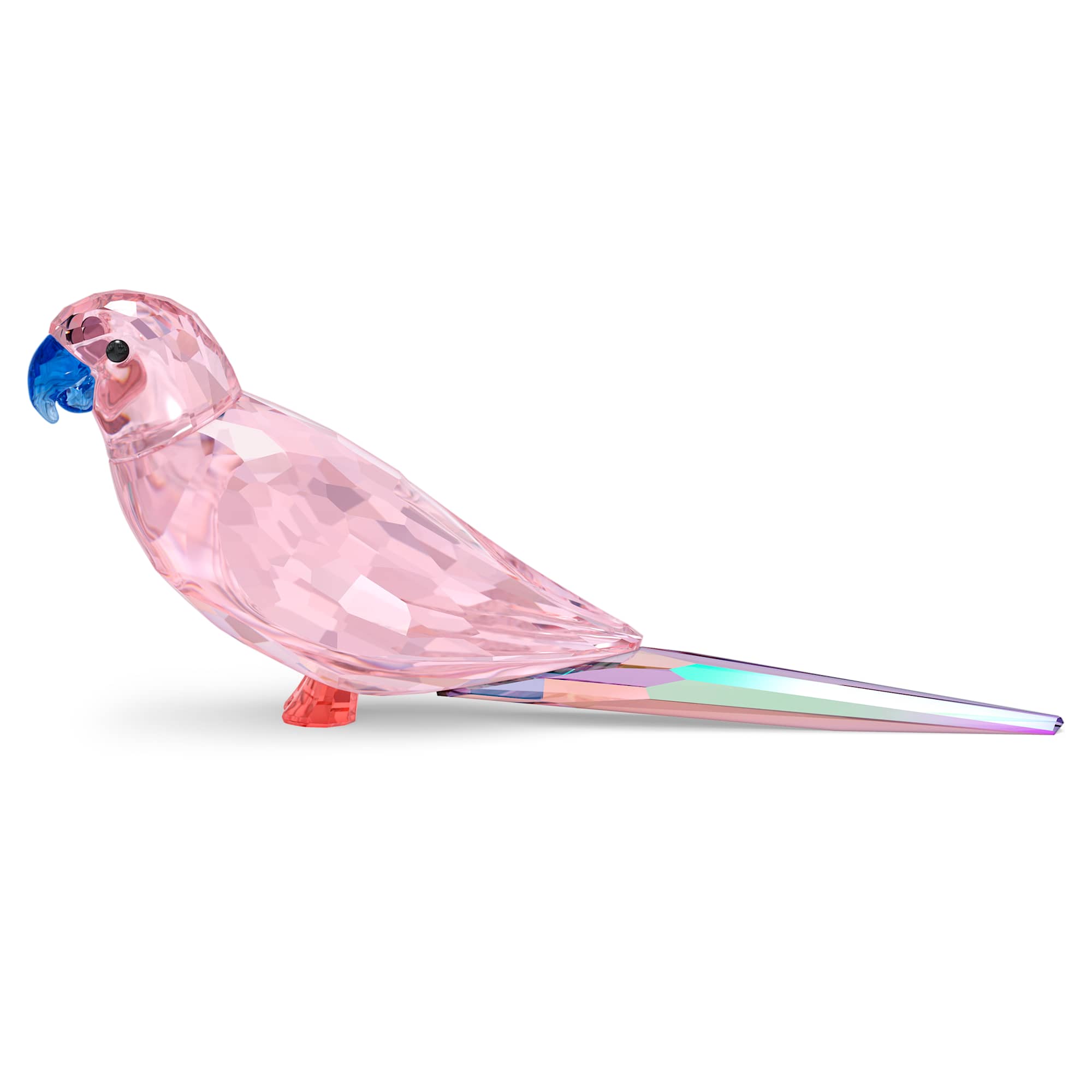 jungle-beats-pink-parakeet-cha-cha-swarovski-5557848