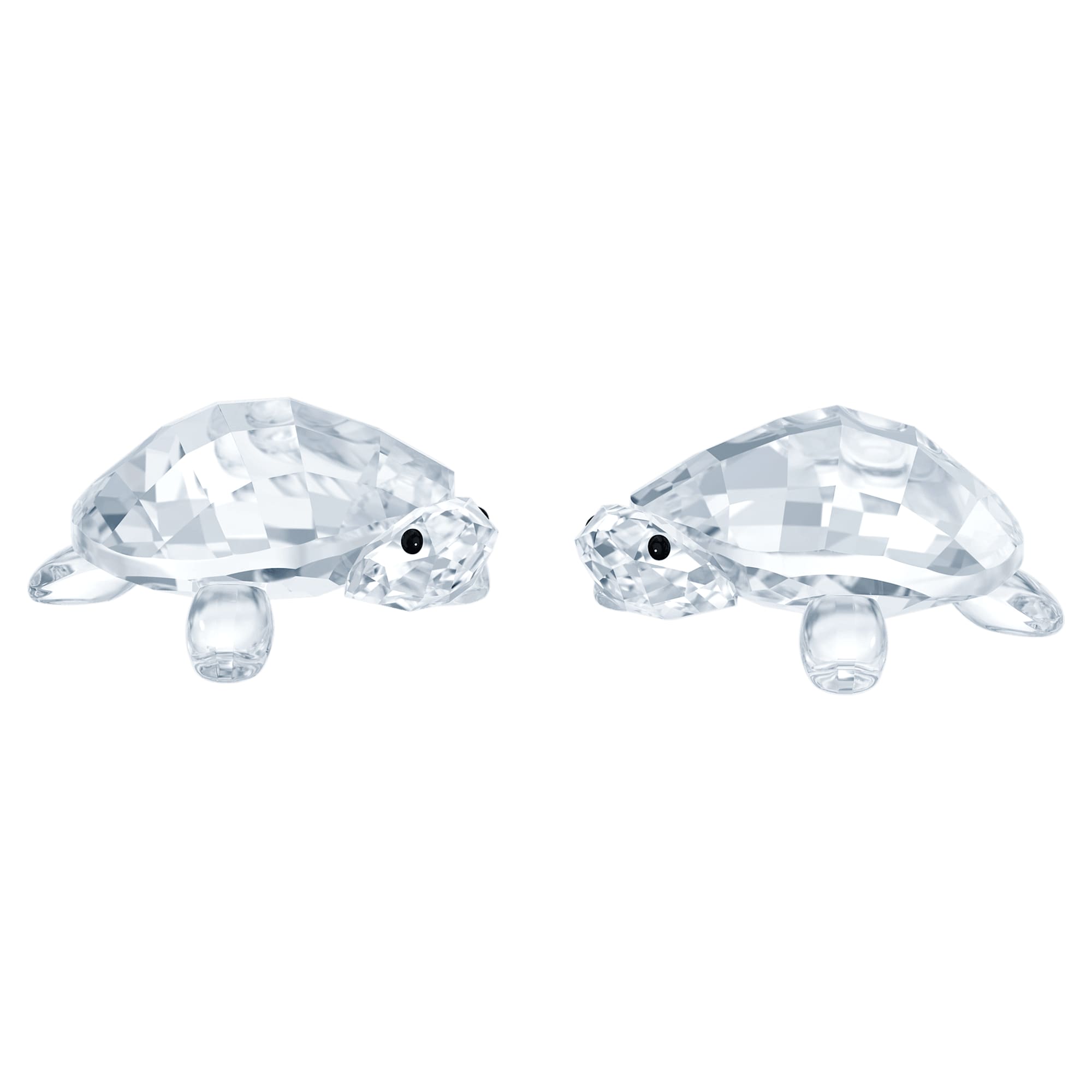 peaceful-countryside-baby-tortoises-swarovski-5766603
