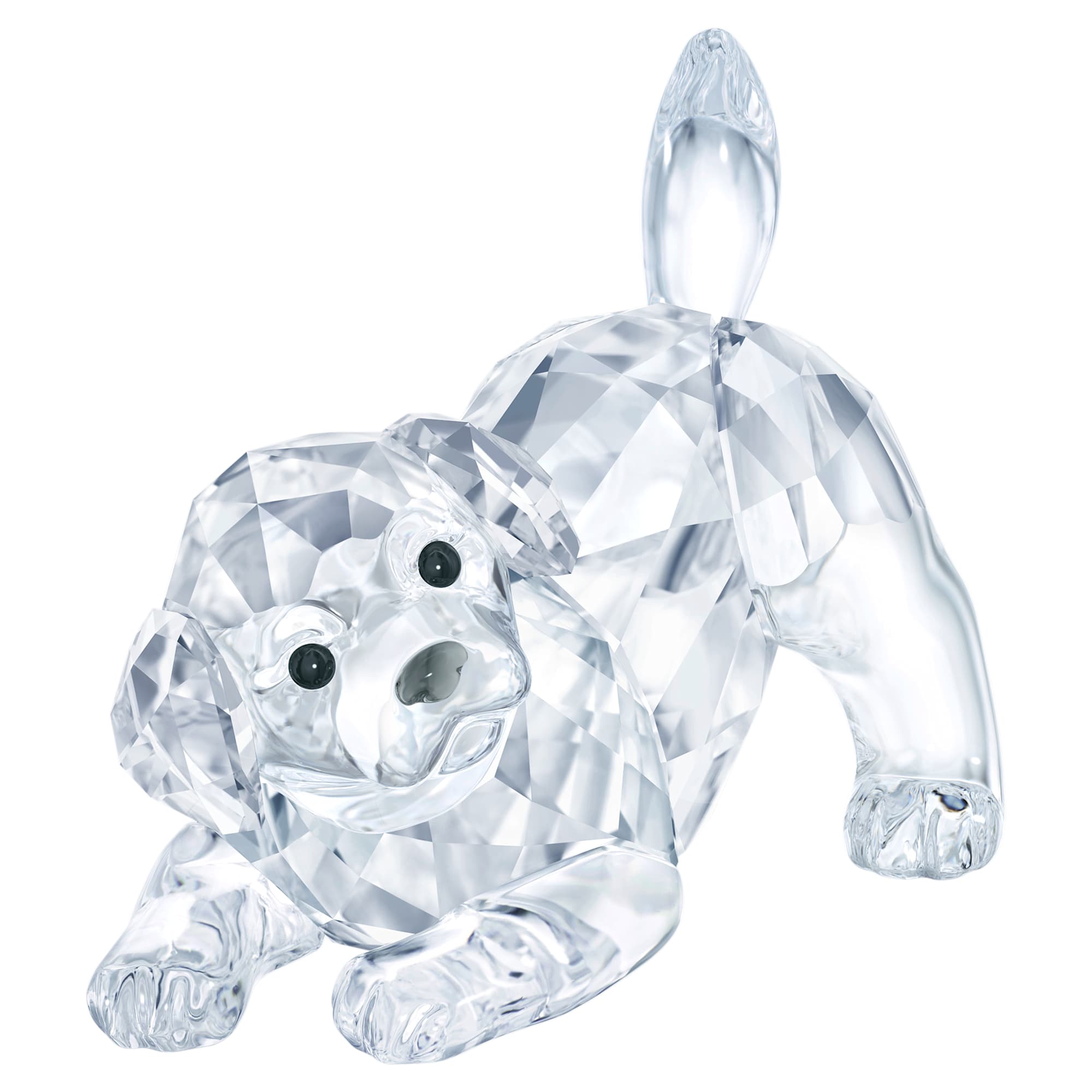 peaceful-countryside-labrador-puppy-swarovski-5758815