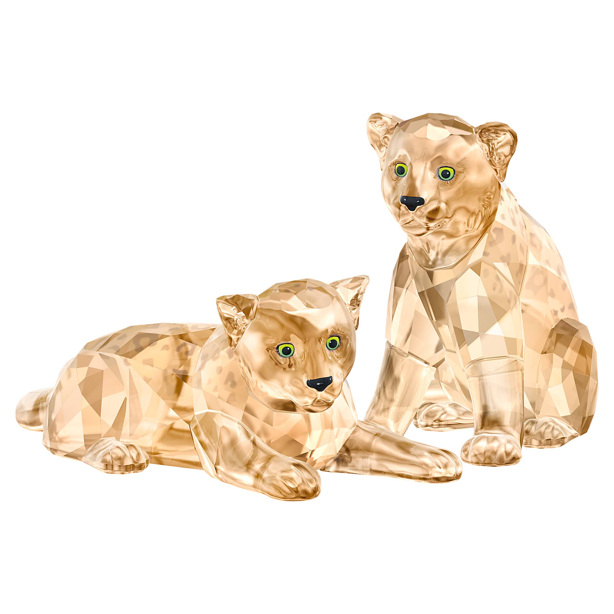 scs-amur-leopard-cubs-swarovski-5428542