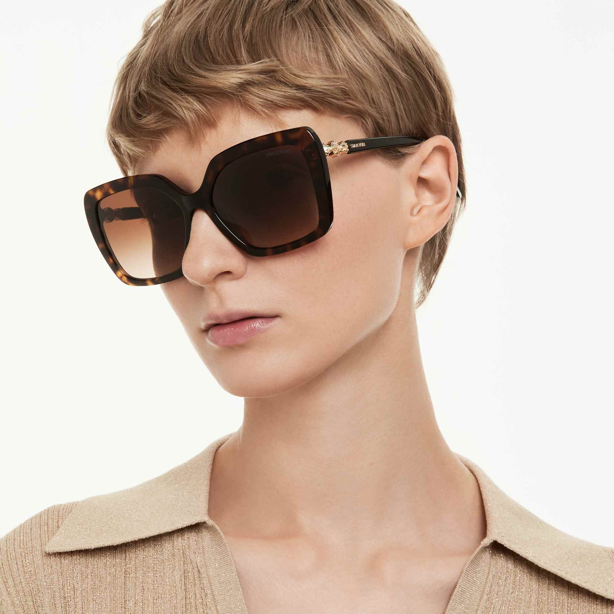 sunglasses-square-shape-sk6049-brown-swarovski-5738136